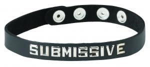 Submissive Collar